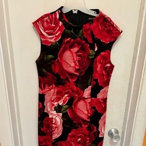 Alexa B Floral Red and Black Midi Dress